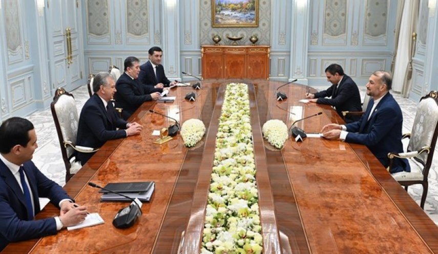 امیرعبداللهیان با رئیس جمهور ازبکستان دیدار کرد