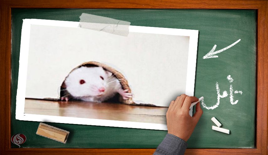 وضعیت صهیونیستها بعد از عملیات شهادت طلبانه قدس