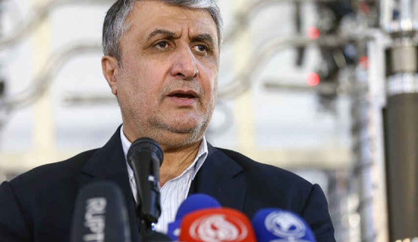رییس سازمان انرژی اتمی: رفتار مدیرکل آژانس بین المللی حرفه‌ای نیست
