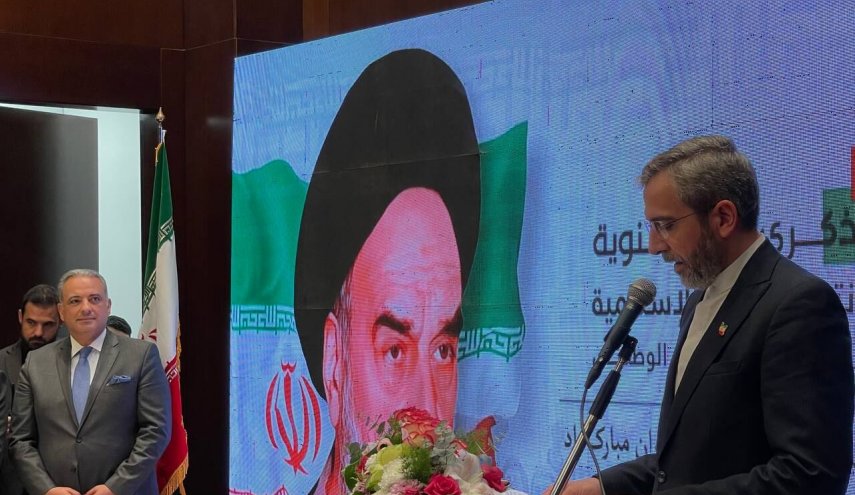 باقری: با وجود فشار حداکثری و تحریم دستاورهای فراوانی کسب کرده‌ایم