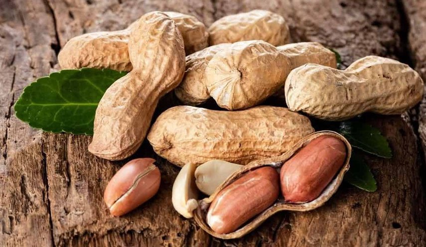 علماء يطورون عقارا يمنع ظهور الحساسية من 'الفول السوداني'