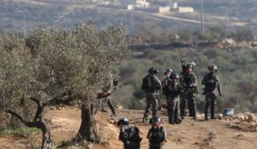 زخمی شدن فلسطینیان در حمله شهرک نشینان و ادامه هتک حرمت به مسجدالاقصی 