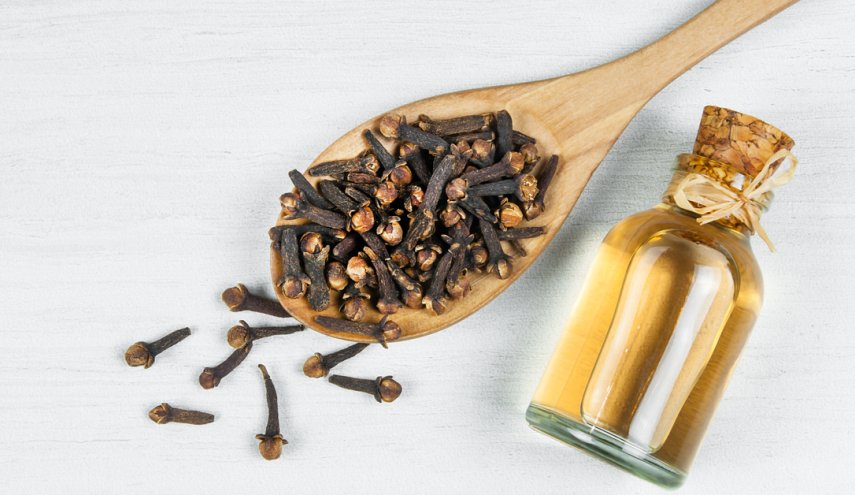 فوائد القرنفل مذهلة للنساء وفقاً لأحدث الدراسات
