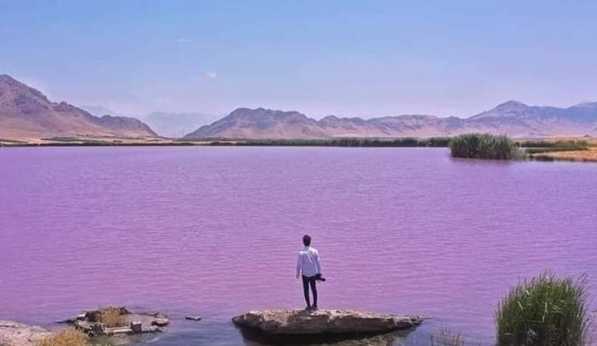 ما سر البحيرة البنفسجية في العراق؟