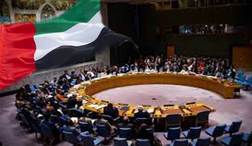 الإمارات تترأس الدورية لمجلس الأمن الخميس القادم
