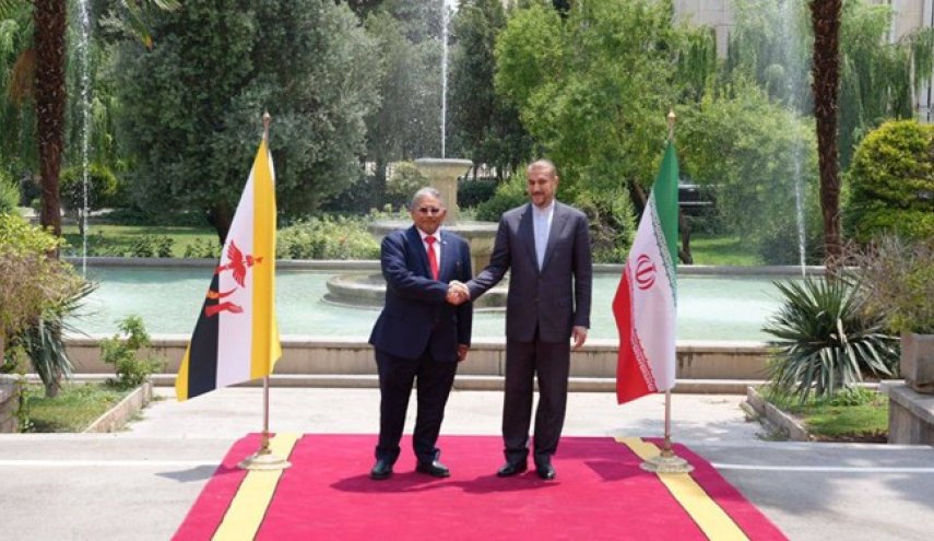 دیدار وزیر خارجه برونئی با امیرعبداللهیان