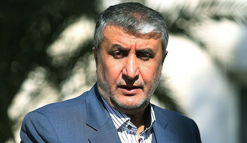 اسلامی: تعهد جدیدی خارج از پادمان با آژانس نداشتیم/ نصب 100 دوربین جدید را تکذیب می کنم