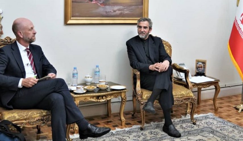 دیدار دیپلمات نروژی با علی باقری