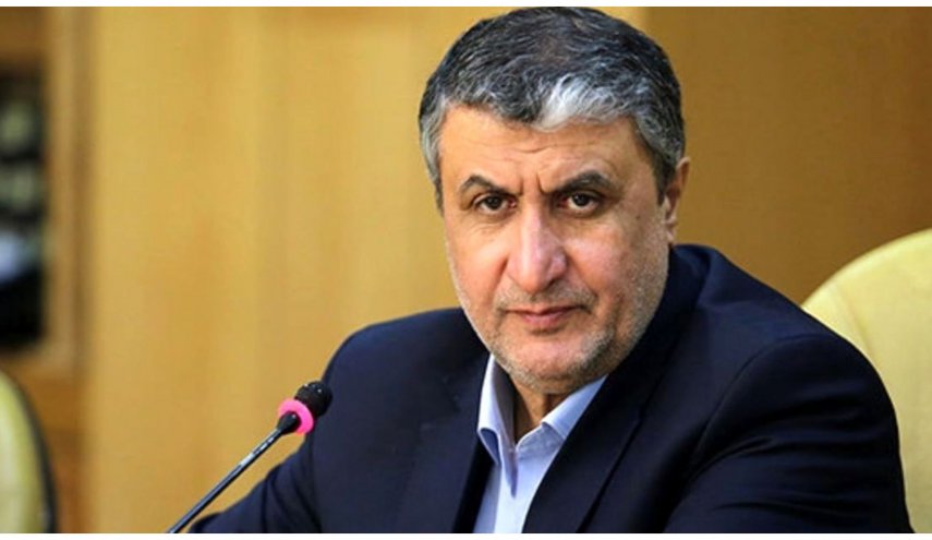 اسلامی: روابط ایران و آژانس بر مبنای پادمان و NPT است