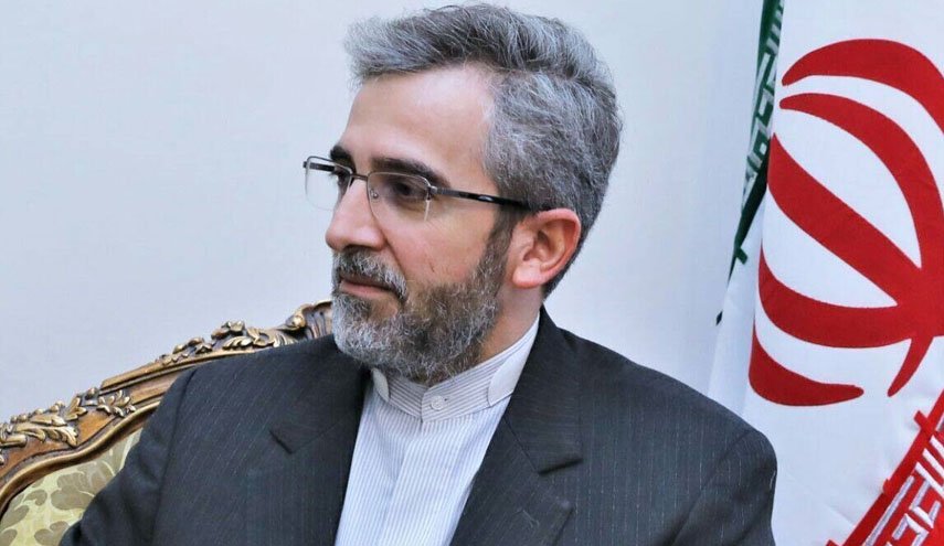 باقری: سوئد و دانمارک جلوی وحشی‌گری فرهنگی را در کشورهای خود بگیرند