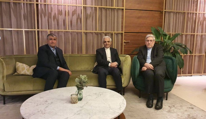 «اسلامی» رئیس سازمان انرژی اتمی ایران وارد وین شد
