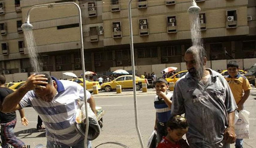تحذير.. ثاني انقراض جماعي للثدييات في الطريق.. !