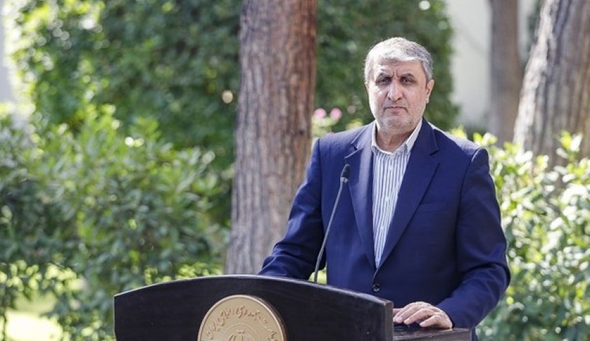 توضیحات اسلامی درباره بازرسان «اخراج‌شده» آژانس انرژی اتمی از ایران