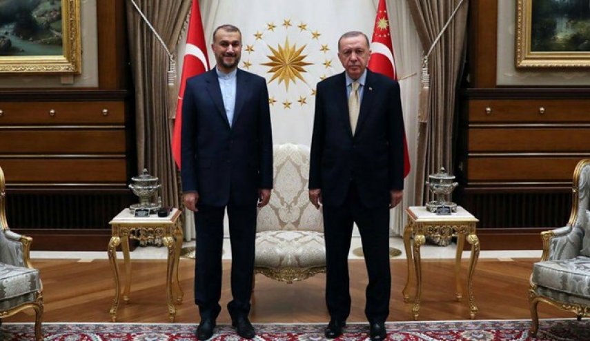 امیرعبداللهیان با اردوغان دیدار کرد