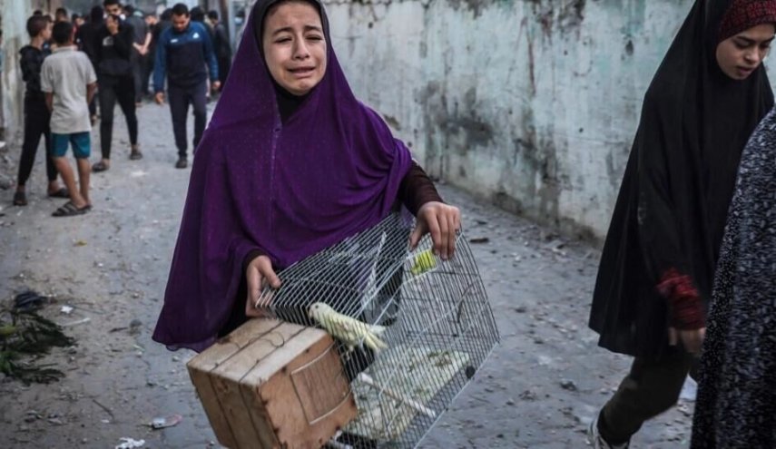 آنروا : ۷۴ درصد از شهدا را زنان و کودکان تشکیل می‌دهند