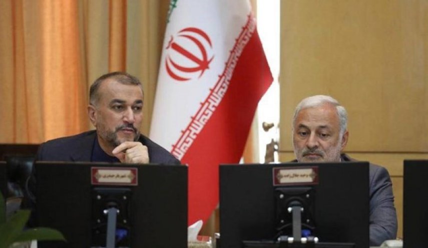 امیرعبداللهیان آلودگی ناشی از نیروگاه متسامور ارمنستان را منتفی خواند