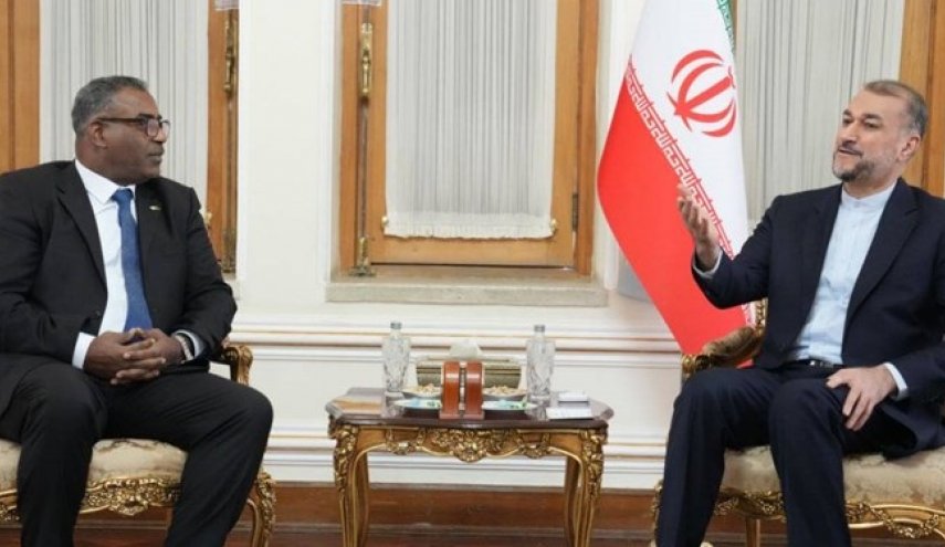 امیرعبداللهیان: در نشست سران اوپک گازی در الجزایر مشارکت فعالی خواهیم داشت

