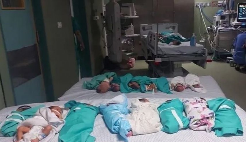 توهین نژادپرستانه روزنامه آلمانی به زنان غزه