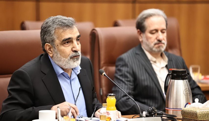 آماده انتقال دانش‌هسته‌ای به همه کشورها هستیم/مذاکرات با آژانس باید در چارچوب پادمانی باشد