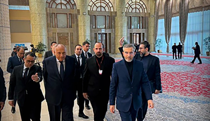 گفت‌وگوی باقری و شکری درباره روابط تهران و قاهره