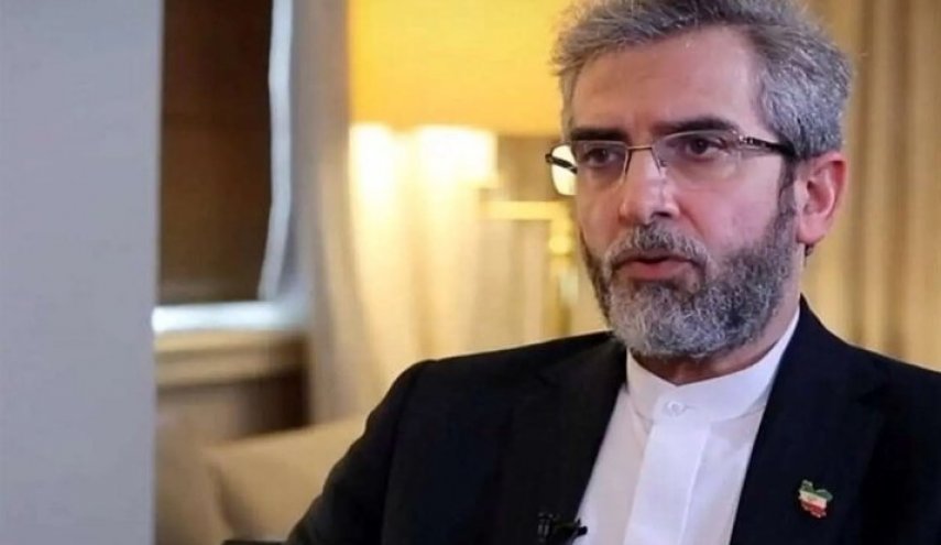 روایت باقری از اهداف ایران از شرکت در نشست وزیران خارجه بریکس
