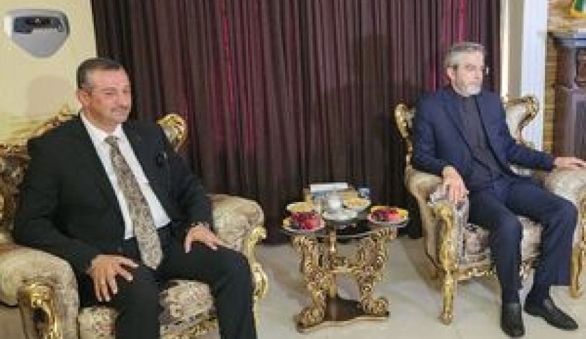 دیدار باقری با سران احزاب کرد اقلیم کردستان عراق
