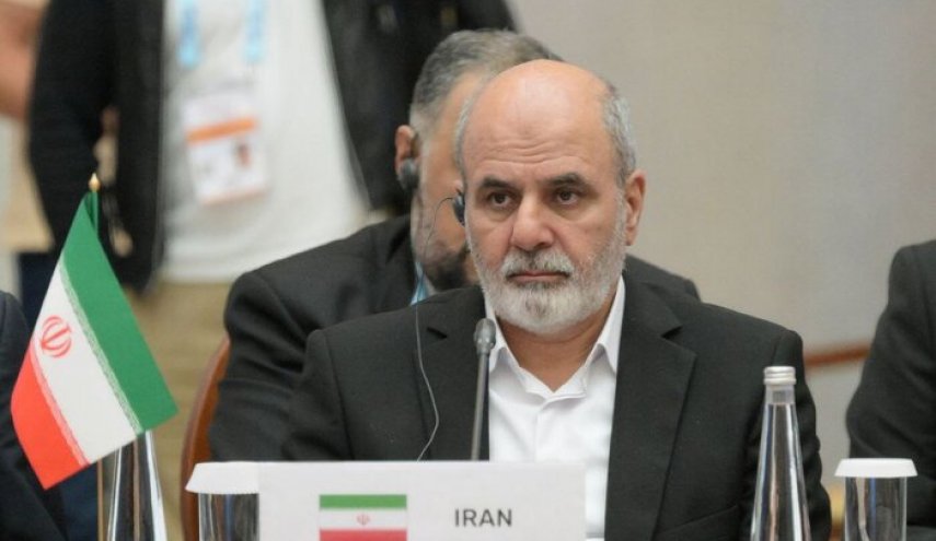 احمدیان در جمع مقامات کشورهای جنوب: جهان نیازمند طرح نو در حوزه امنیت است
