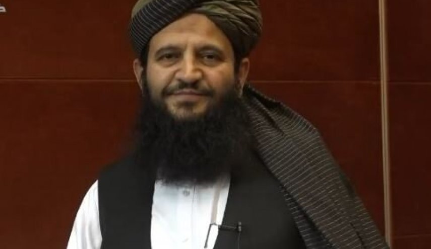 عذرخواهی نماینده جنجالی طالبان از ملت ایران
