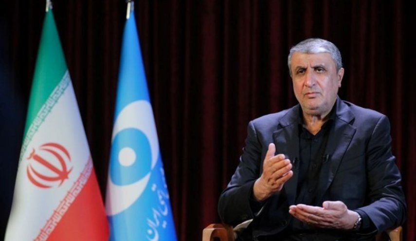 قطعنامه جدید علیه ایران صادر شود سریع پاسخ می‌دهیم
