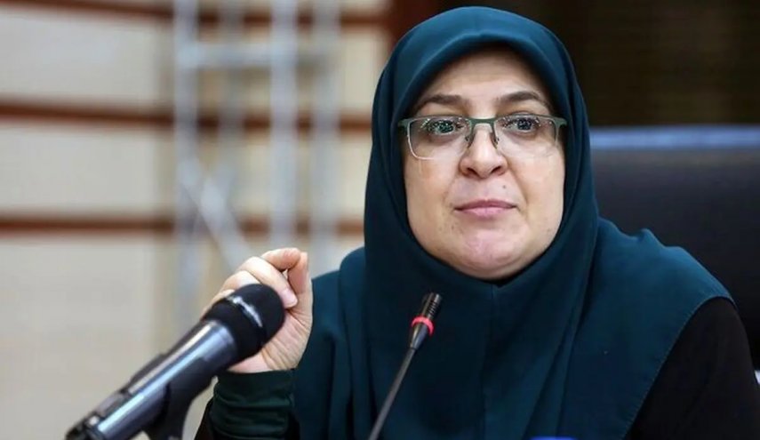 مهاجرانی: دور اول مذاکرات ایران و آمریکا در فضای سازنده و حرفه‌ای برگزار شد