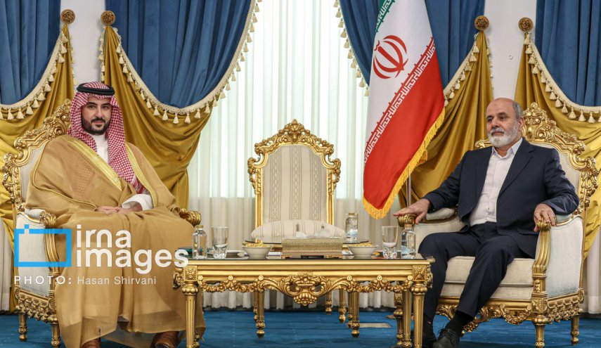 دیدار وزیر دفاع عربستان با دبیر شورای عالی امنیّت ملی