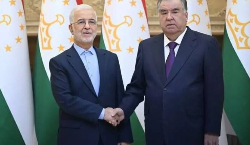 دیدار وزیر کشور با رئیس جمهوری تاجیکستان