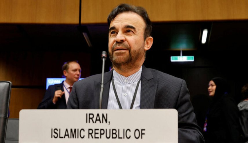 نجفی: اقدامات ایران در واکنش به قطعنامه آژانس بسیار قوی خواهد بود
