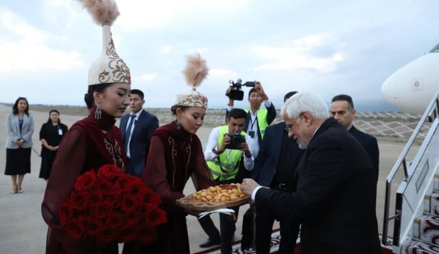 دیدار نخست وزیر روسیه با محمدرضا عارف
