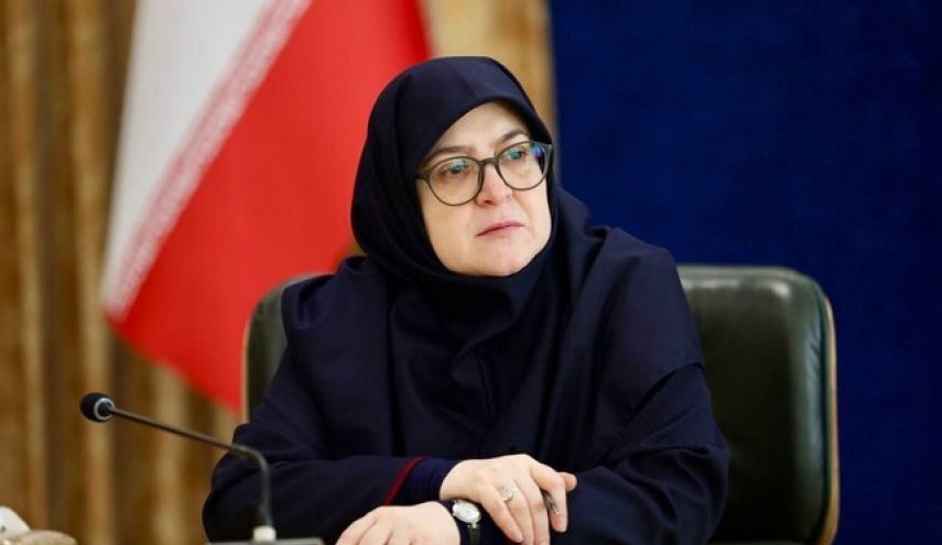 مهاجراني: الخروج من قائمة مجموعة العمل المالي السوداء يستغرق وقتا