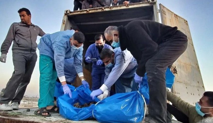 از رکوردهای گینس تا گورستان اعداد؛ سرقت اعضای بدن، جنایتی پنهان علیه پیکر فلسطینی‌ها