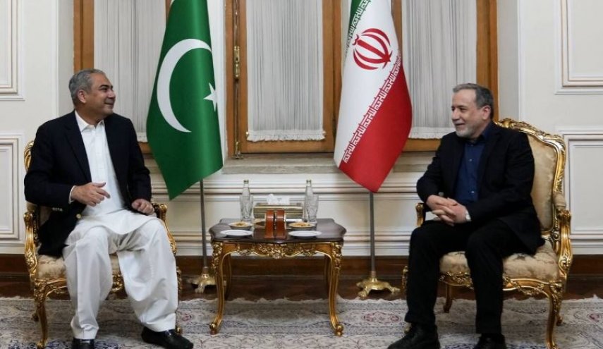 وزیر کشور پاکستان با عراقچی دیدار کرد