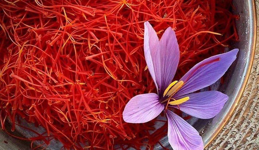 خیز «طلای سرخ» برای فتح بازارهای جهانی