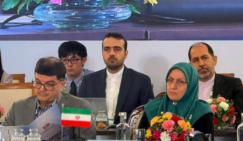 ایران پیشنهاد برگزاری دوره‌ای «اکسپو بریکس» را ارائه کرد
