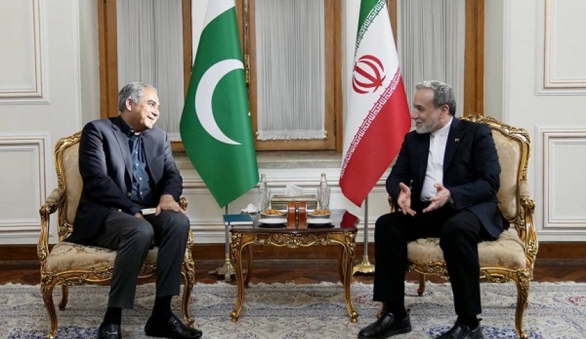 دیدار وزیر کشور پاکستان با وزیر امور خارجه ایران
