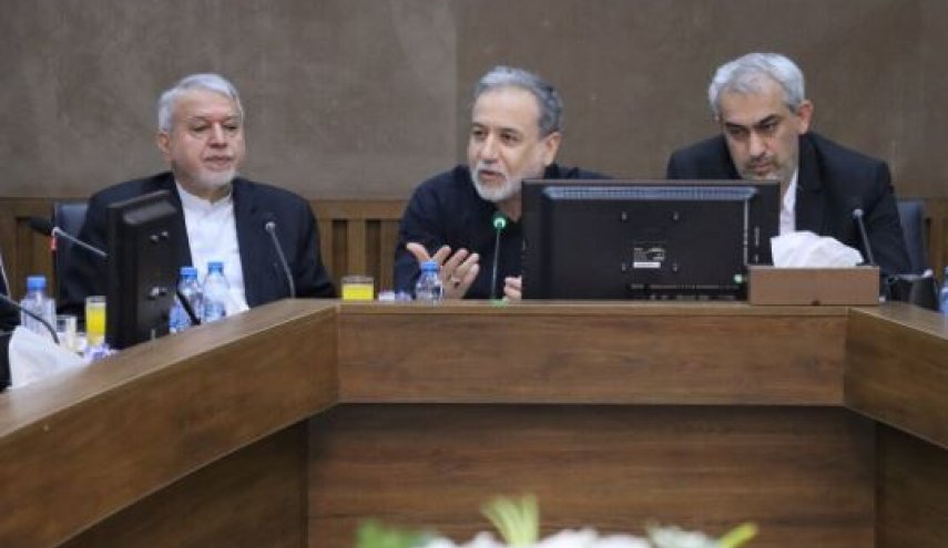 عراقچی: کشورهای همسایه از مهم‌ترین ظرفیت‌های اقتصادی ایران در شرایط تحریم هستند