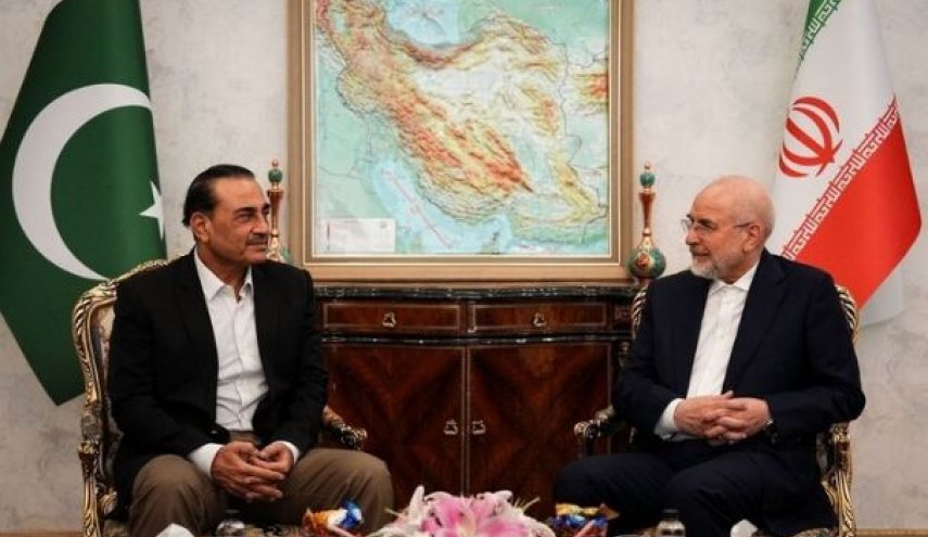 دیدار عاصم منیر با رئیس مجلس: پیگیر شروط یادداشت تفاهم هستیم