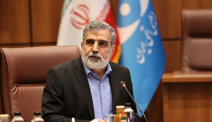 كمالوندي: الصناعة النووية الإيرانية تدخل مرحلة جديدة من التطور